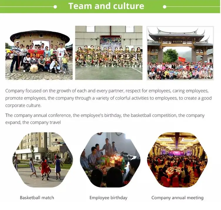 team and culture