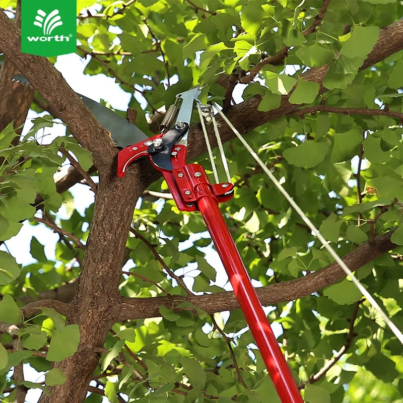 Worth Factory Iron Metal High Branch Hand Telescopic Long Reach Handle Tree Pruners Garden Tools Pruning Saw