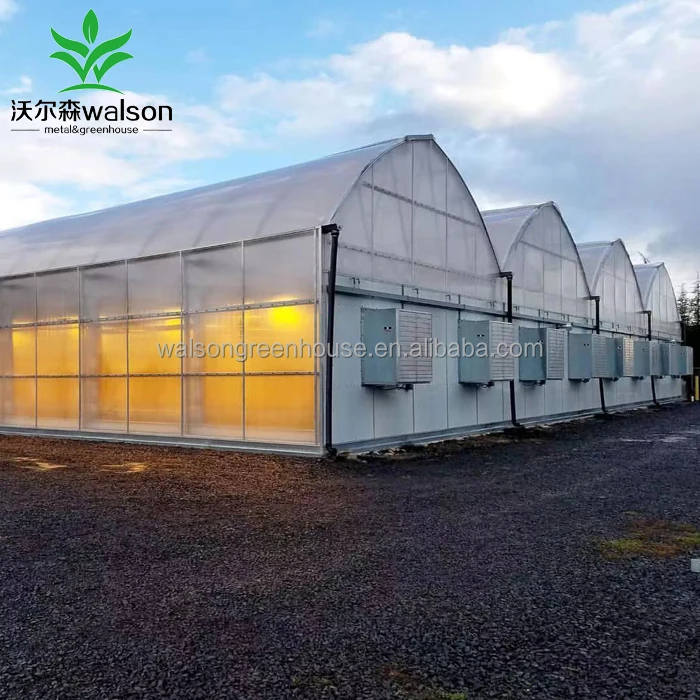 Walson 3 Layer Greenhouse Light Curtain 100% Light Proof Gutter Connected Greenhouse 32x9m Automatic Black Out System Greenhouse