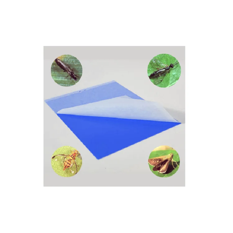 Hot Sell Pest Killer Moth Glue Traps Insect Fruit Fly Catcher Sticky Trap for Greenhouses