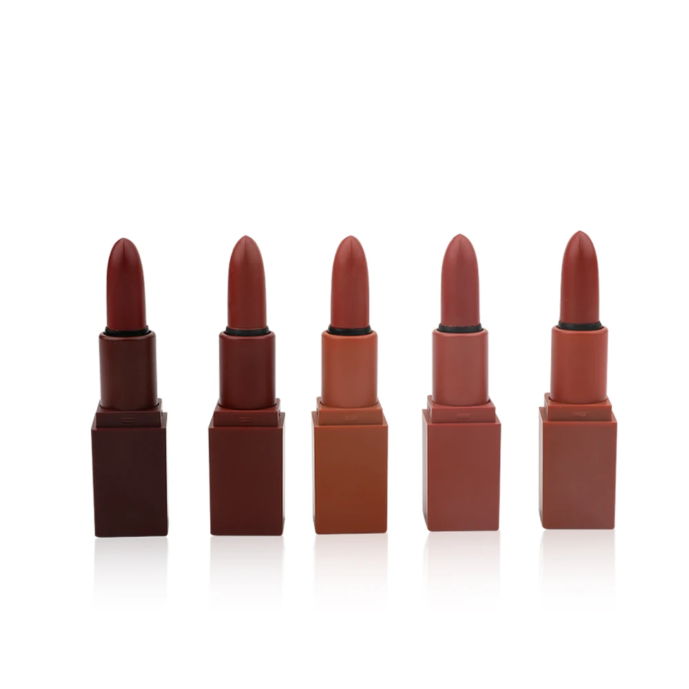 Private Label 5 colors in 1 Matte Lipstick Set Long Lasting Pigment Nude Lipstick OEM