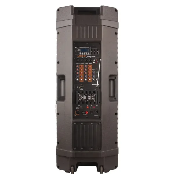 Double 15inch Rechargeable Battery Speaker RGB Lighting Plastic Active Wireless Microphones