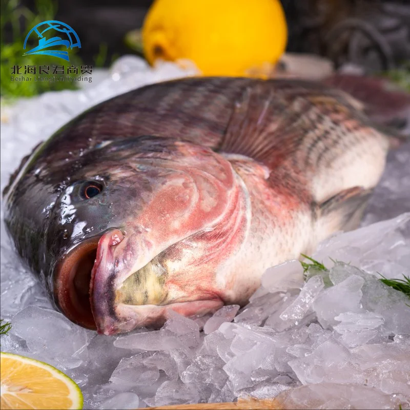 Рыба Тилапия цена за кг оптовая высококачественные морепродукты грубая замороженная Оригинальная Черная тилапия