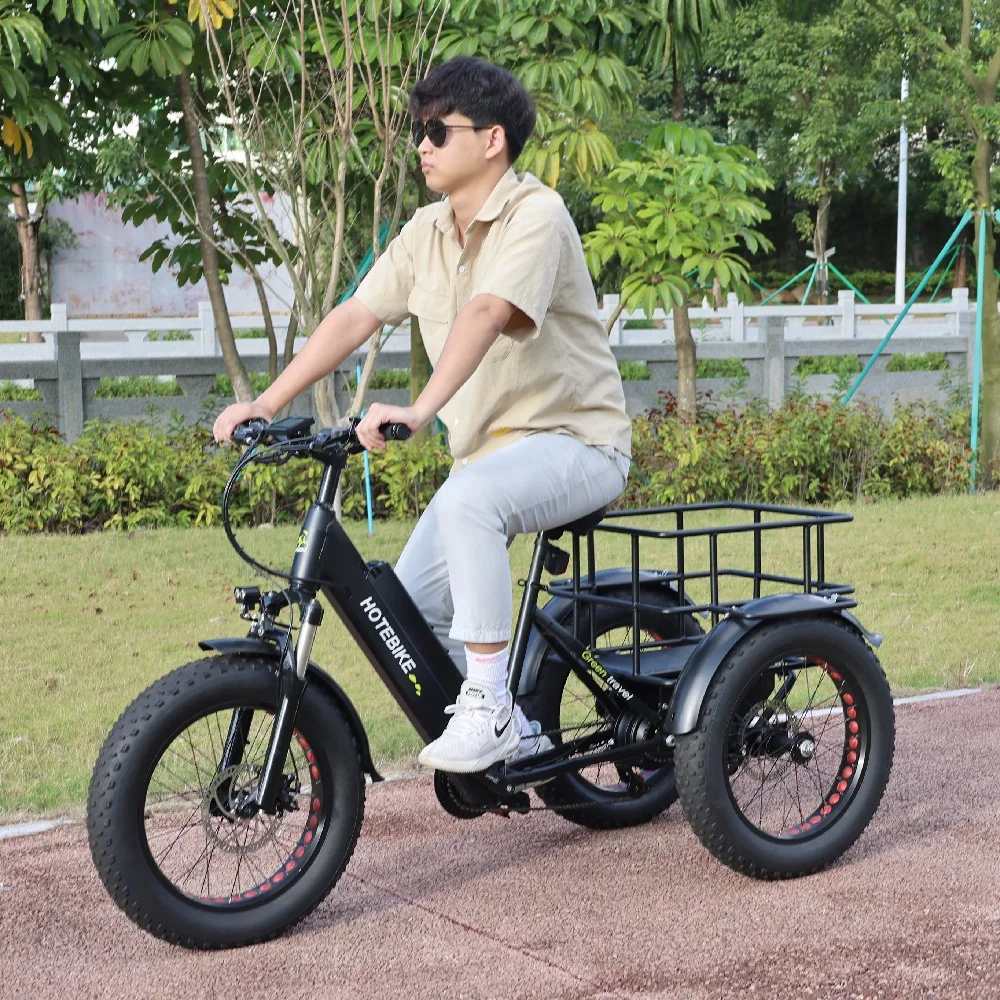 Aluminum Frame Electric Cargo Bike Professional Supplier Electric Cargo Tricycle 48V 500W Motor 3 Wheel Electric Cargo Bike