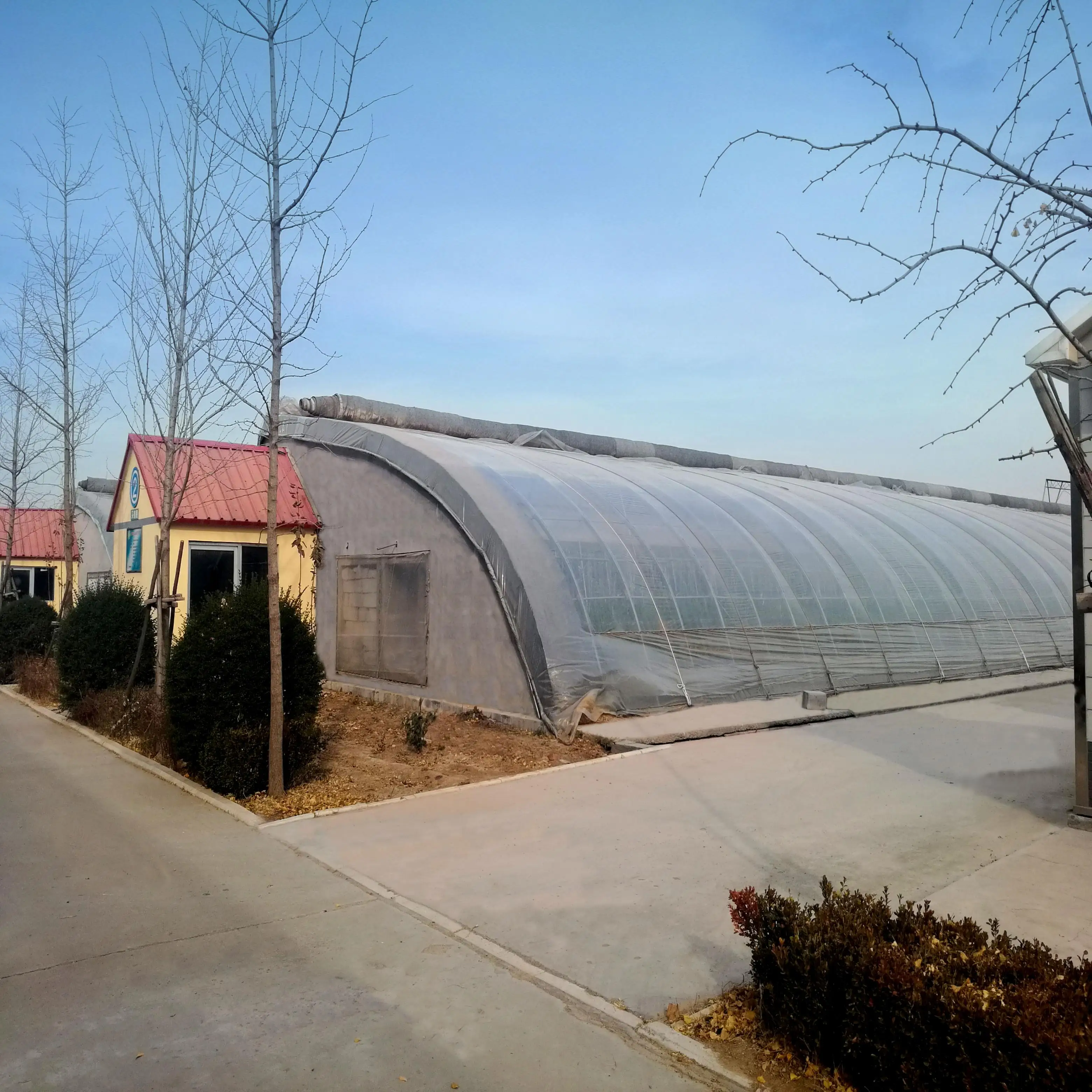 Film large span solar energy saving passive tomato greenhouse with soilless culture