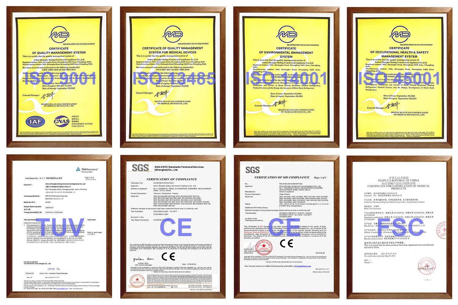 Malinmaus LN2 Gas phase tank laboratory use large capacity biobank liquid nitrogen container