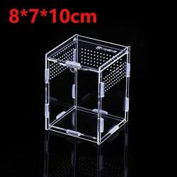 Reptile Small Plastic Feeding Box Terrarium,Reptile Travel Habitat Box For Gecko Frog Spider Snake Baby Lizard