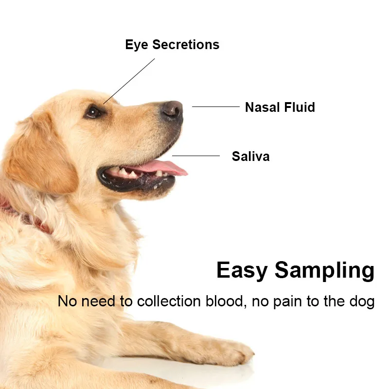 Canine Progestrone Test Cpv Ag Test Cassette Cpv-Ccv Cdv-Cav-Civ Rapid Test Kit