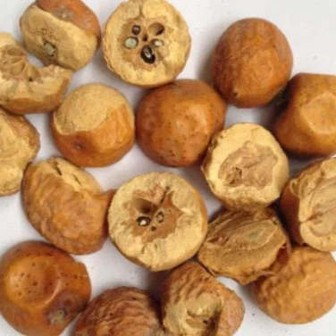 Wholesale Functional Fructus Toosendan Chuan Lian Zi Chinese Traditional Medicine Dry Herb