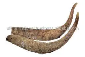  Козий гудок лучшая вода буйвол дешевая цена натуральный продукт Декор для дома и продажи