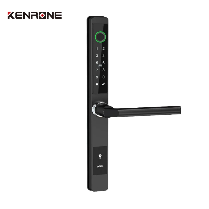 European American Style Handle Apartment Home Fingerprint Waterproof Smart Lock