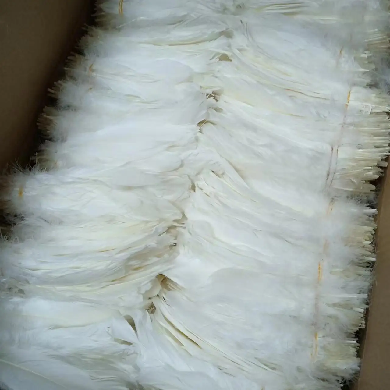 Cheap Natural 6-8' Goose  Feather bulk  White decor feathers goose  for badminton shuttlecock crafts angel wing cloth costume