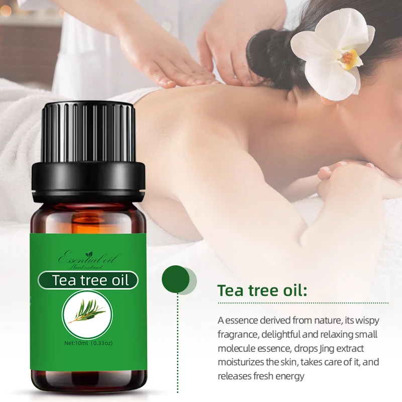 Wholesale 100% Private Label Fragrance Oil Tea Tree Essential Oil Natural Plant Aroma Oil for Skin Body Care