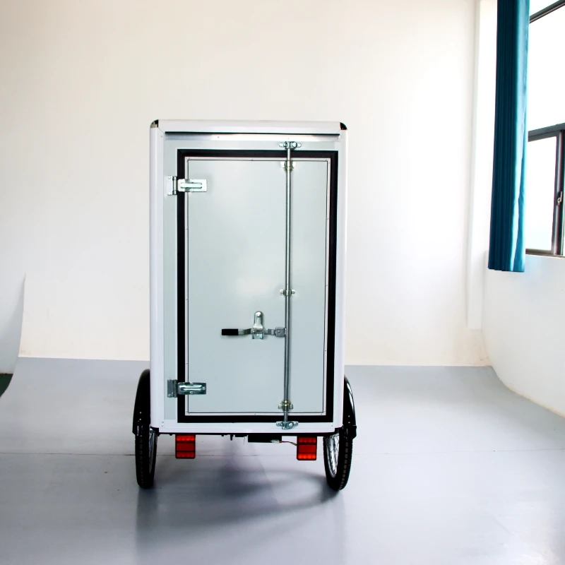 Heavy load cabin cargo Tricycle / closed 3 Wheel Motorcycle Heavy load Cargo Bike Electric bicycles