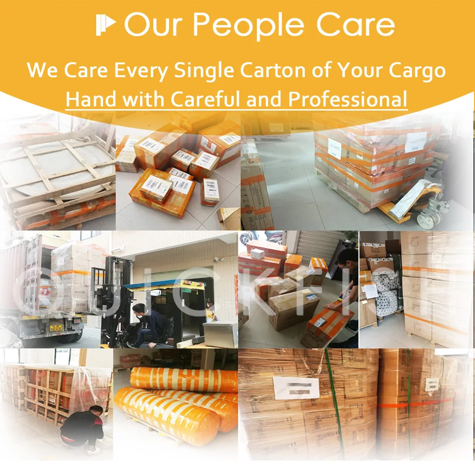Ausdirect Leading Shipping Freight Forwarder China to Australia New Zealand