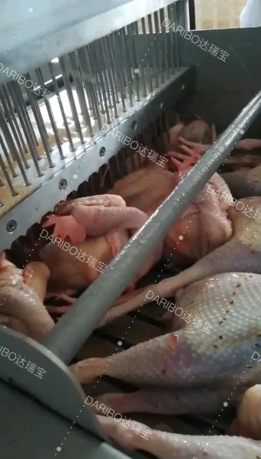 DARIBO 84/168 Needles Heavy Duty Chicken Saline Injection Machine for Sale