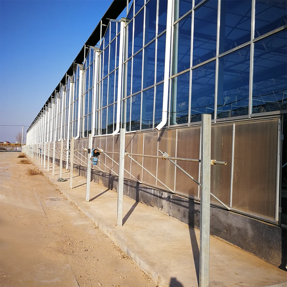 
Agricultural Vegetable Intelligent Glass Greenhouse with Hydroponics System Price 
