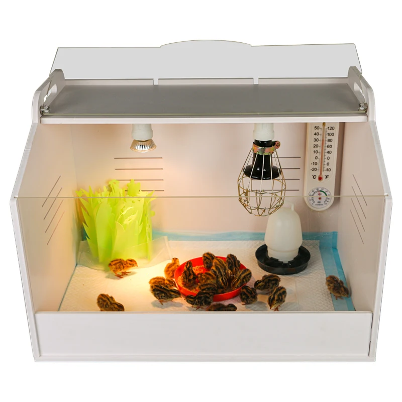 Chicks Squab Nestling Fledgling Breeding Box Brooder for Sale