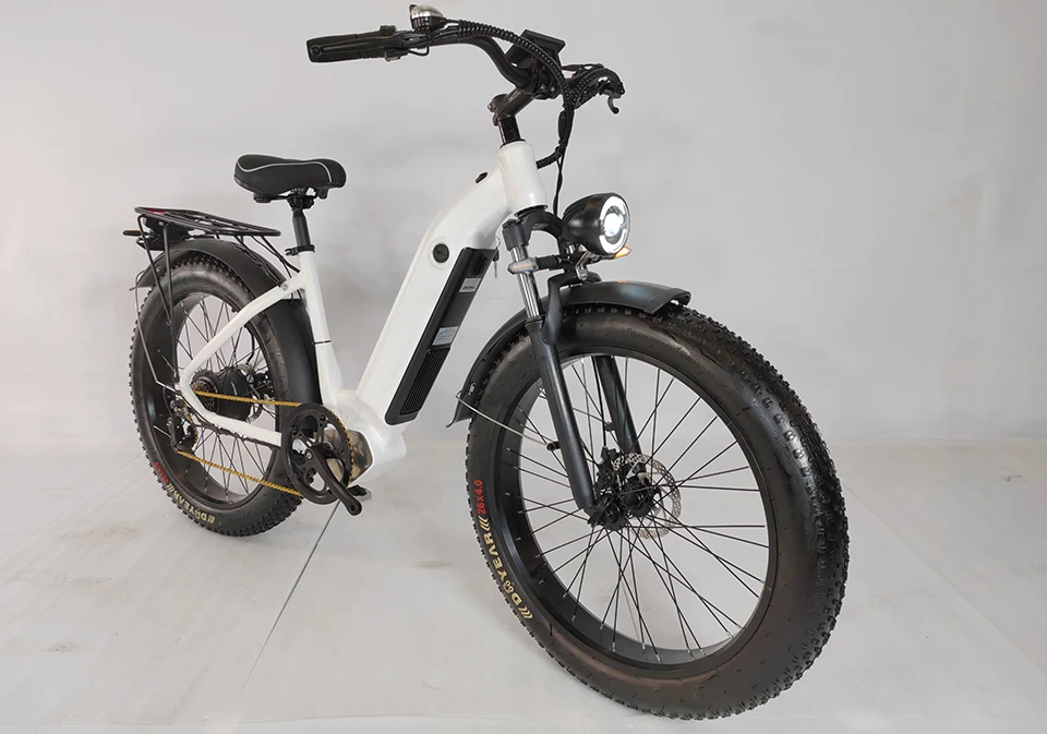 Best Hot Sale E Bike 48v 750w Lithium Battery Strong Power Electric Bike 26 Inch Downhill Fat Tire Electric Bicycle