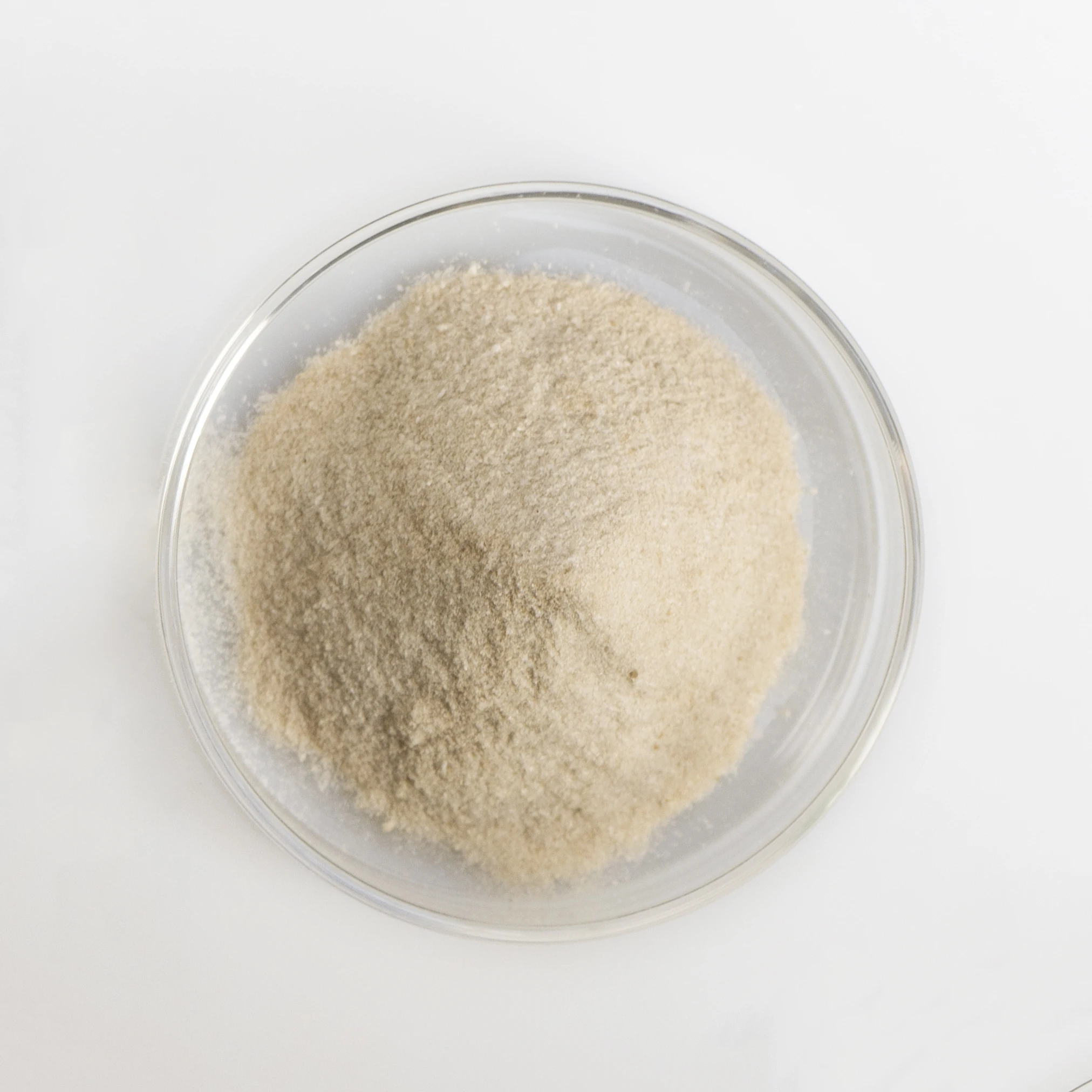 
Pet Probiotics for Dog Health Care 