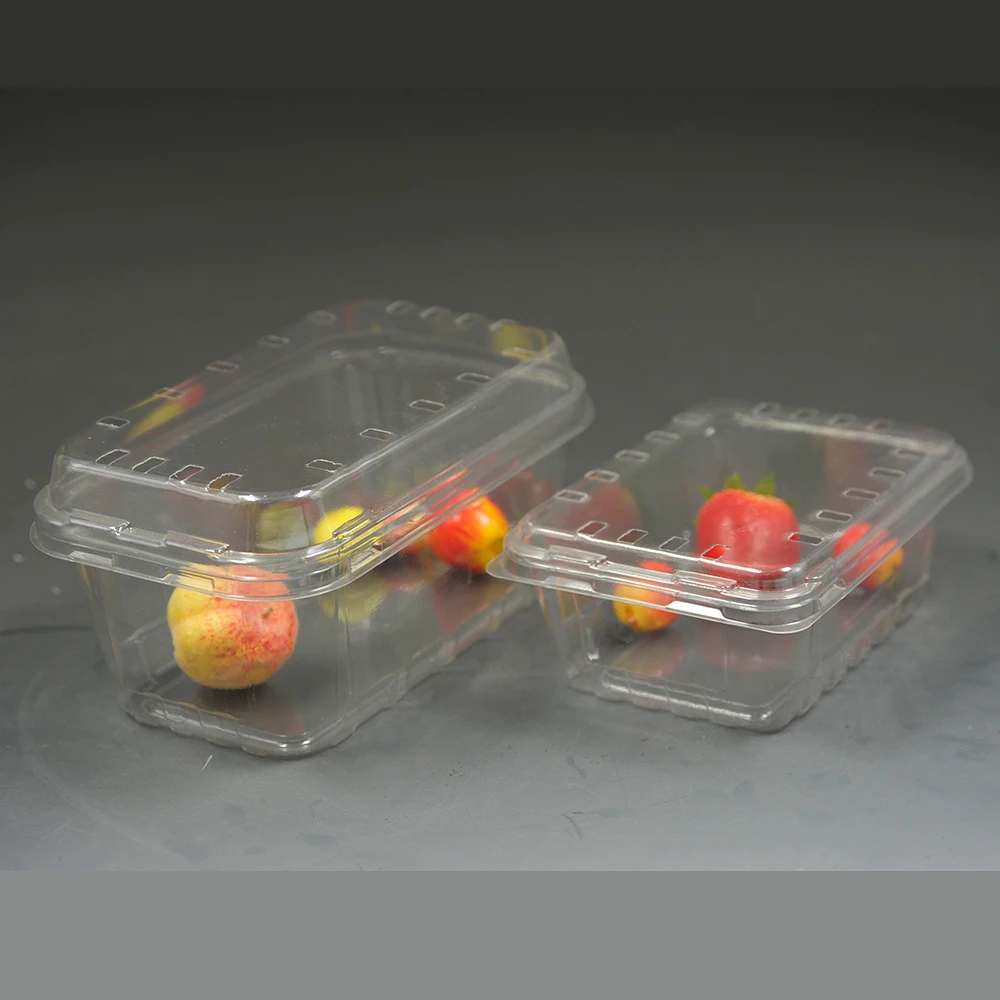 Hotel Buying Request Disposable Plastic Food Container for Fresh Fruit With Lid Biodegradable Plate