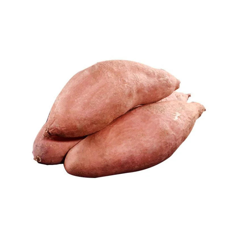 China cheap fresh onions are used for cooking sweet potatoes seasonal high-quality sweet sweet potatoes