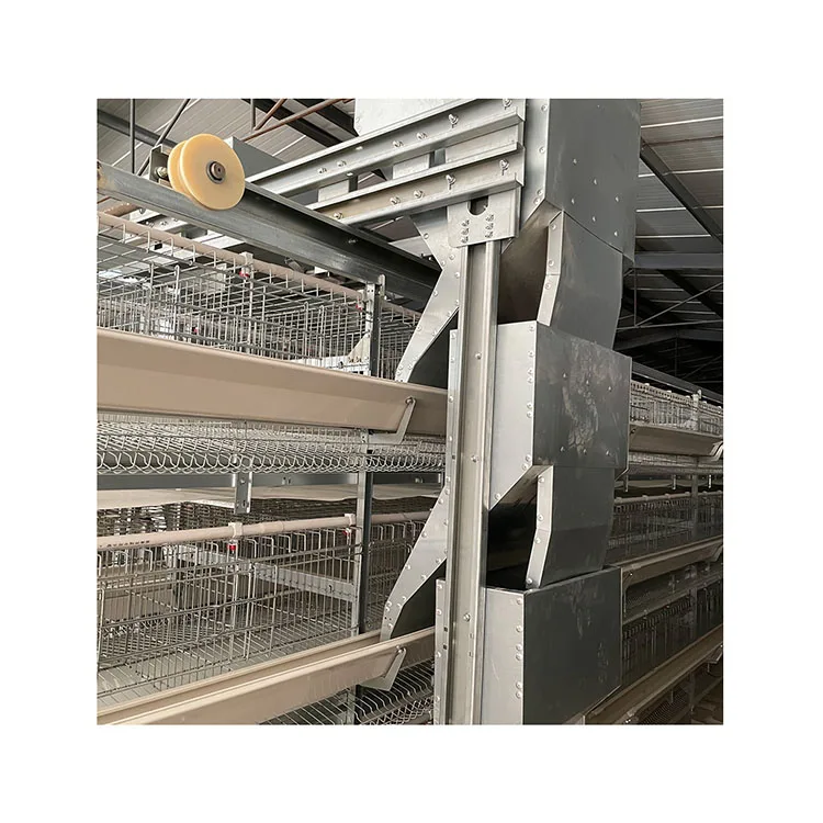 Agricultural machinery and equipment - Chicken cages - H-type automatic broiler chicken cages