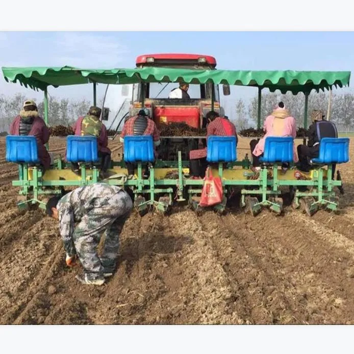 crawler watermelon seedling planter three rows lettuce licorice transplanter large amount of adjustable transplanting machine
