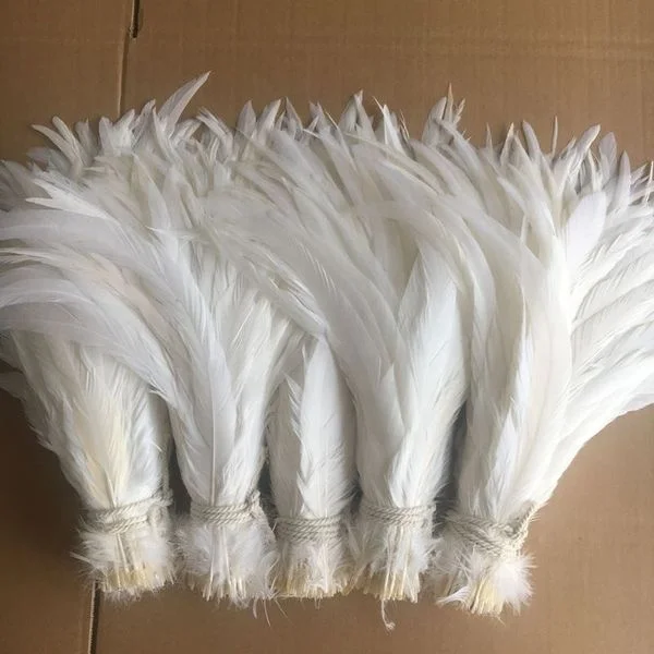 Wholesale Super White 40-45cm Rooster Tails Feather Chinese Coque Feathers For Carnival Costume Samba Fly Tying