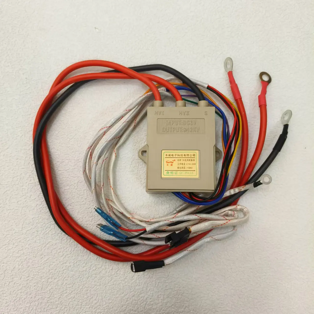 Commercial 3V Fanless Gas Pulse Ignition Controller with Buzzer and Water Level Igniter AS-K033