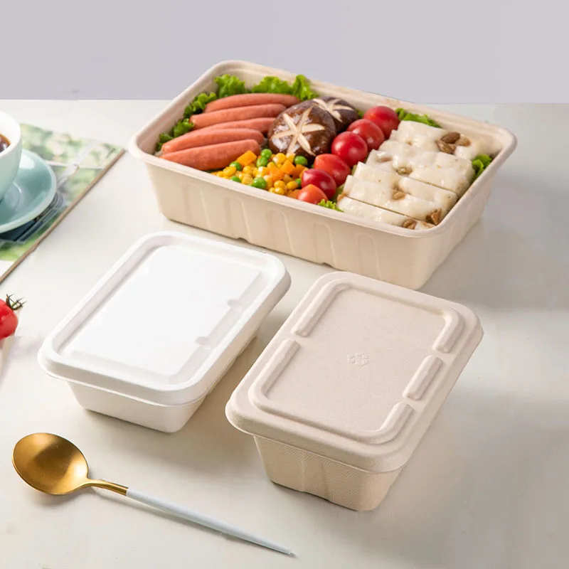 Disposable Biodegradable Oill Proof Tableware Sugarcane Bagasse Sauce Paper Plates Dishes