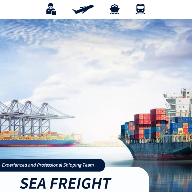 
 Professional sea shipping from Shenzhen/Ningbo/Shanghai/Tianjin/Qingdao to the port of Annaba  