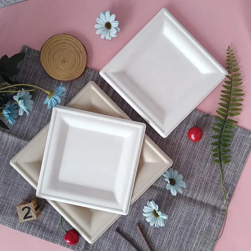 Zero Waste Natural Color Water Resistant Disposable Biodegradable Square 10 Inch Food Plate