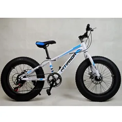 China factory wholesale 20/26 inch snow bike and 4.0 fat tire beach bike