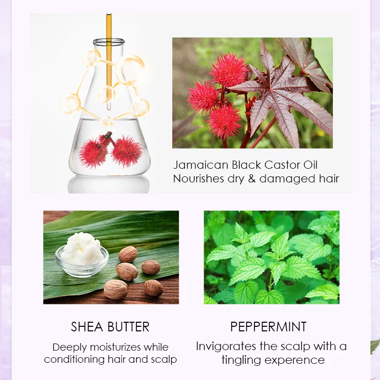 Black Castor Oil Sulphate Free Split Ends Coconut Leave In Conditioner For African Hair Smooth And Moisturize