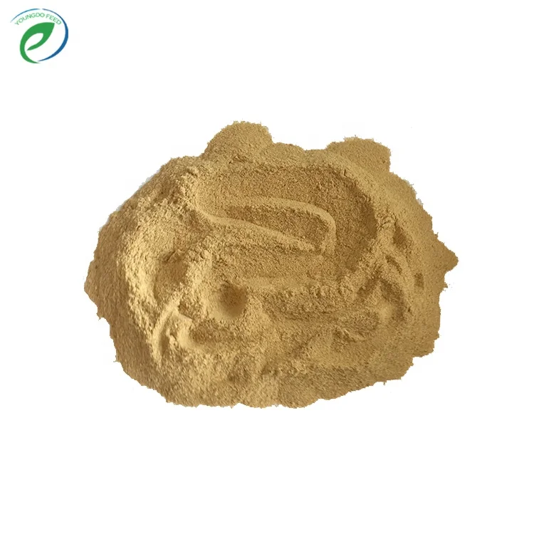 Poultry chicken feeds yeast powder with good price