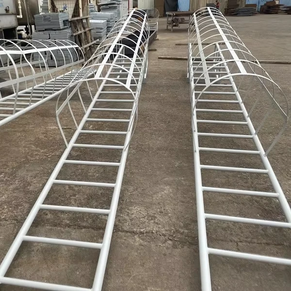 Customized Galvanized Steel Fixed Ladder with Safety Cage Vertical Galvanised Cat