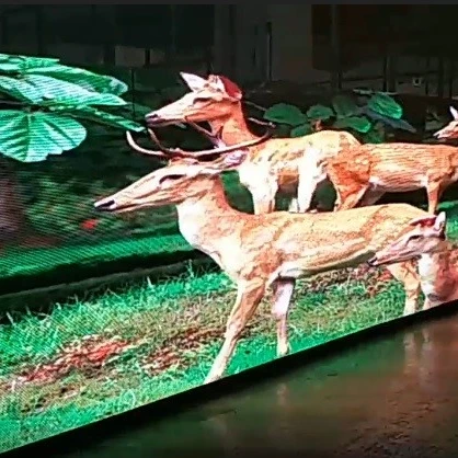 Third party inspection | Led screen/display inspection service Guangdong | inspection & quality control services