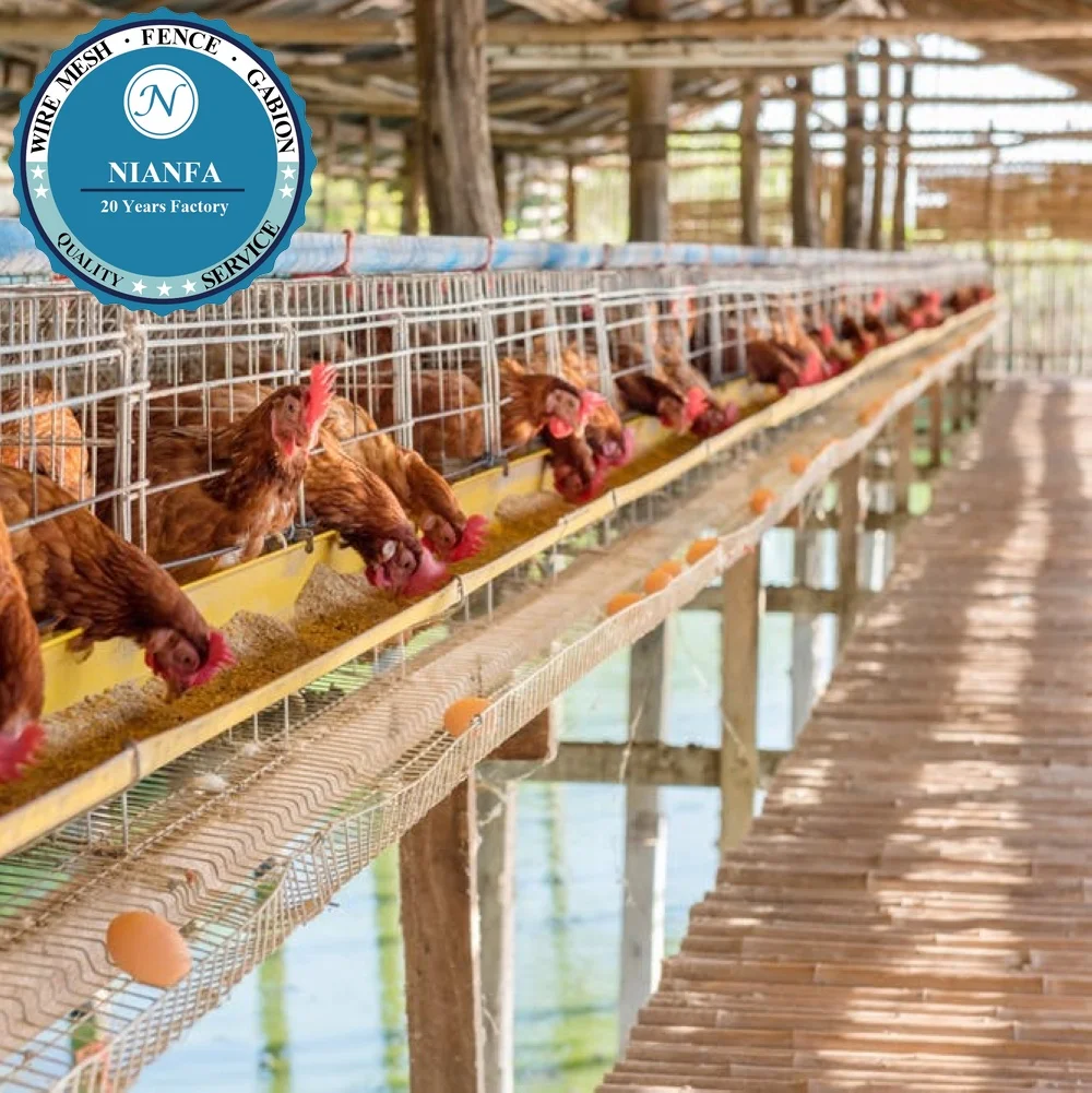 Guangzhou Thick Hot Galvanized Chicken Breeding Cage for Layer Chicken