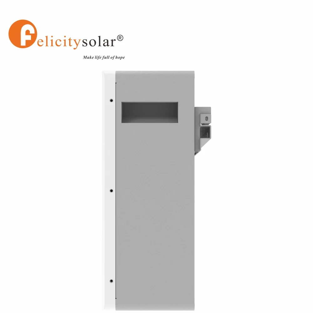Felicity Solar 24V 100AH  lifepo4 battery lithium iron phosphate solar backup battery for solar energy system