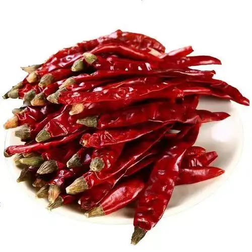 Hot Selling Cheap Whole Dried red extra hot chilli Spice too spicy good quality chilli