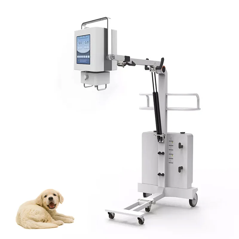 Veterinary Ray X 4KW High Frequency X-ray Machine 5kw Vet X Ray Machine Price