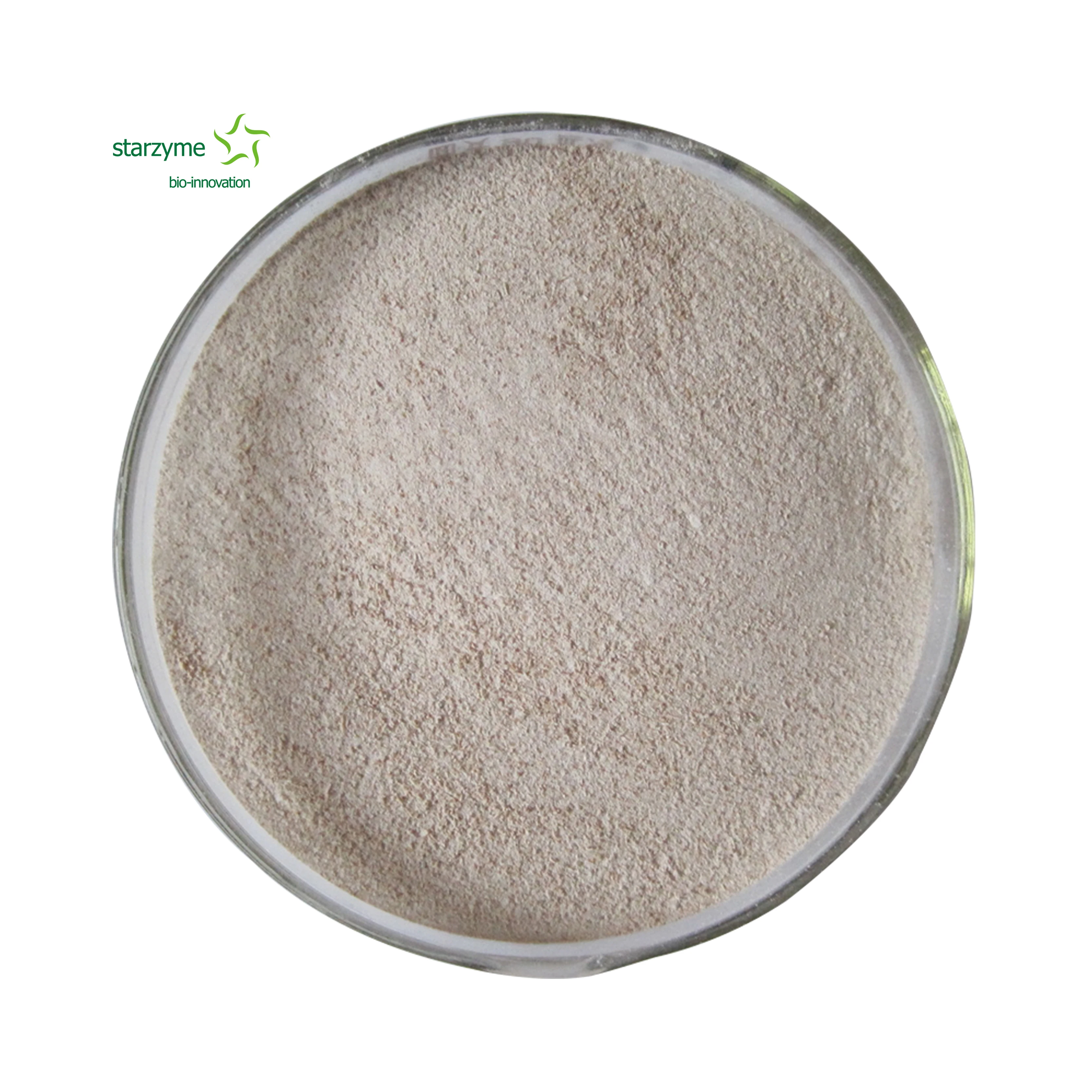 High Colony Content Bacillus Subtilis Feed Grade Powder Probiotics