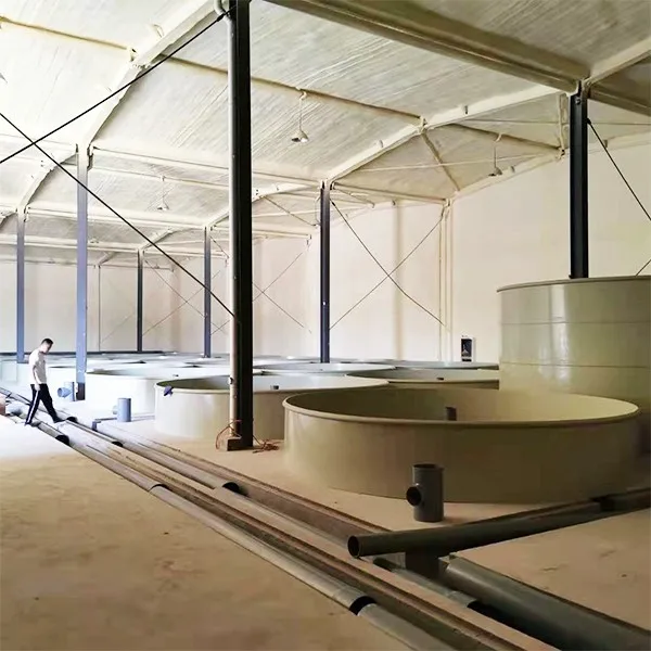 Customized Seawater RAS/Recirculating Aquaculture System Solution for Tilapia Fish Farming