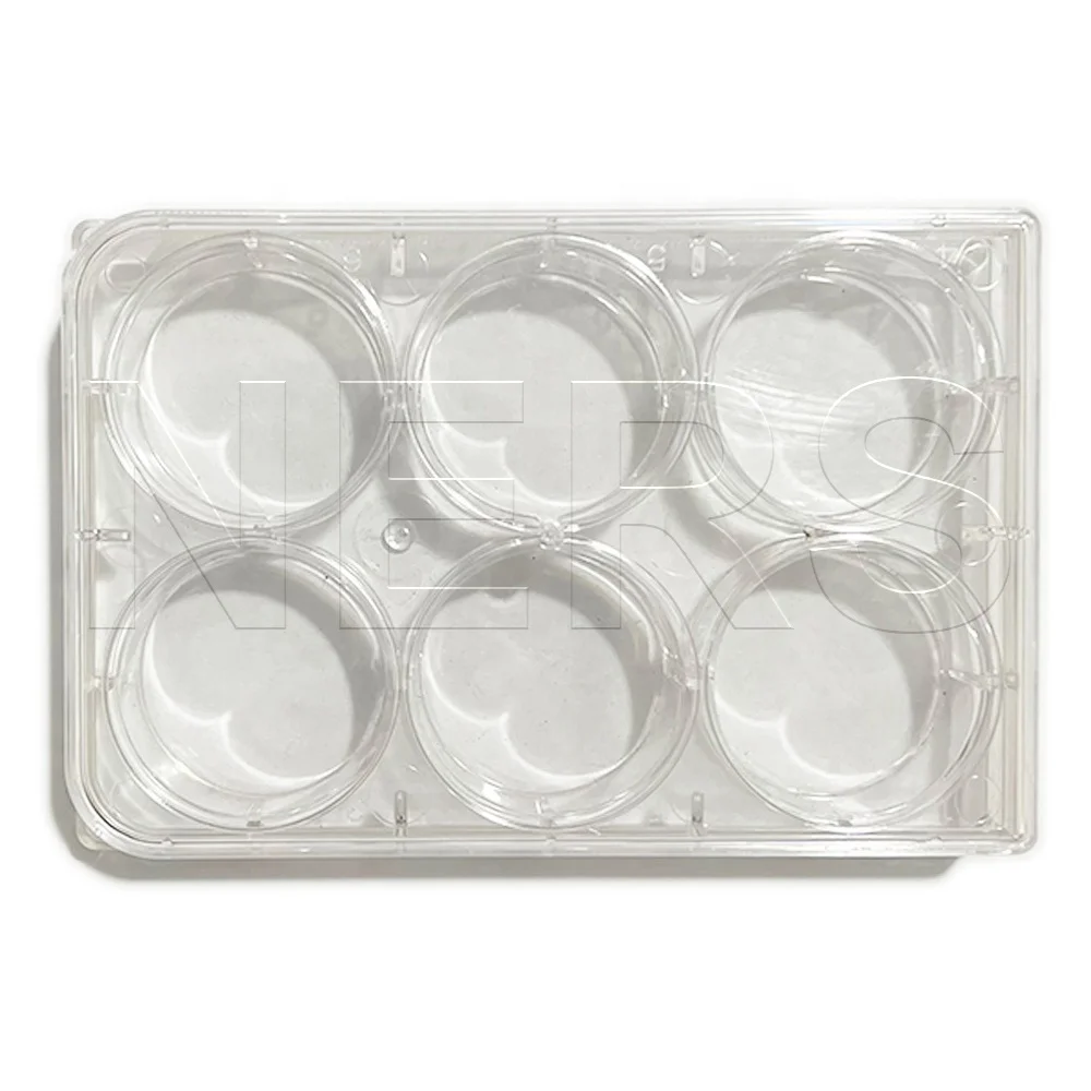 NERS Biological School Experiment Tools Clear Rectangular Plastic Reaction Plate with 6 Wells