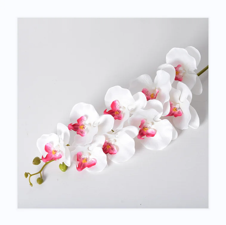 HDL063 High quality Single stem real touch orchids flower latex phalaenopsis flower wholesale