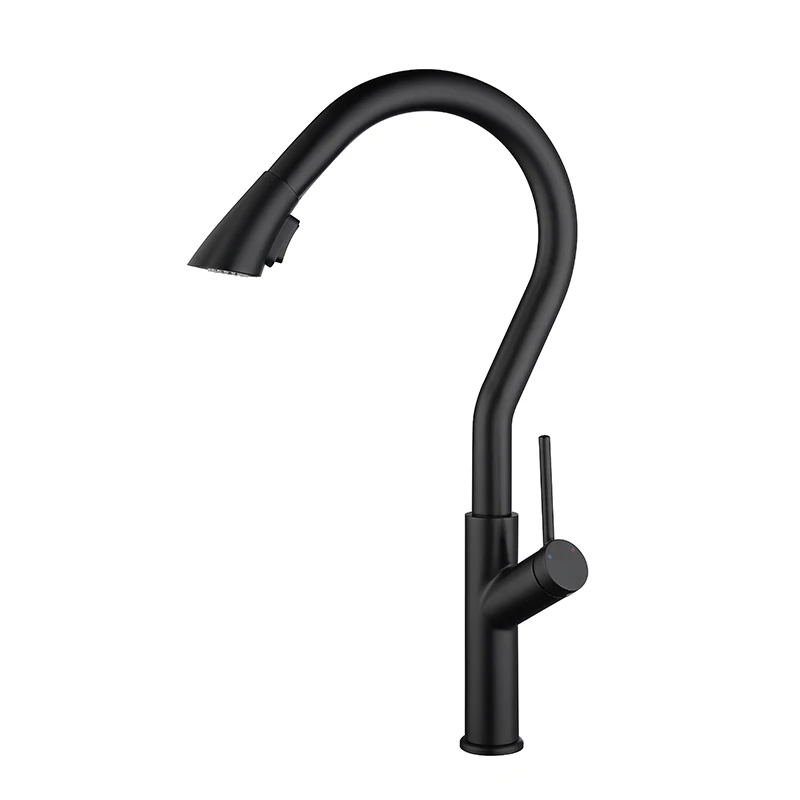 
Factory Manufacture Various Flexible Single Handle Pull Out Kitchen Faucet 