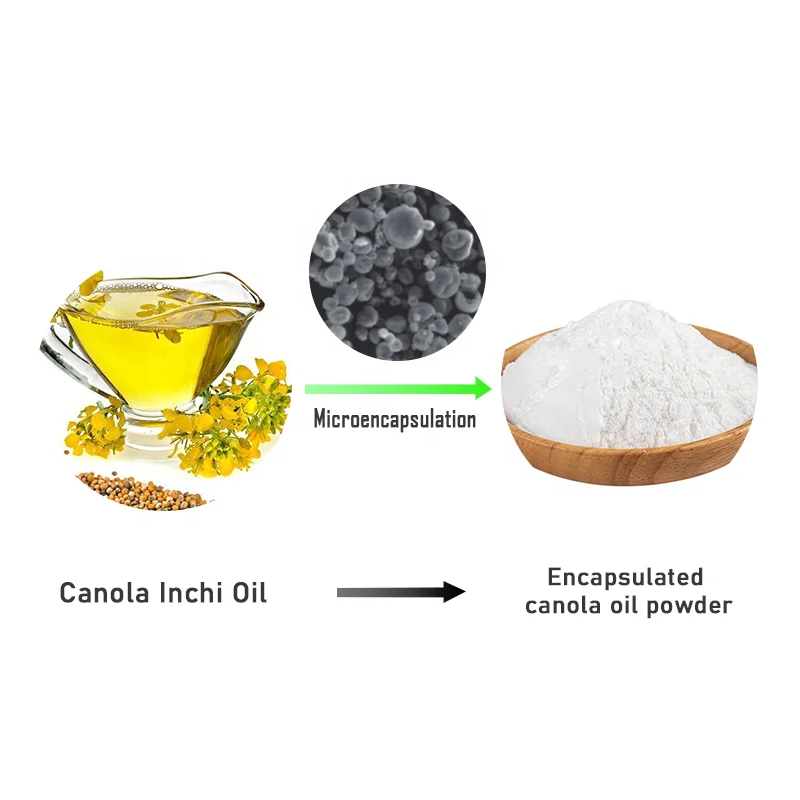 Encapsulated rapeseed oil powder ISO9001 canola oil powder China origin best export grade microcapsule rapeseed oil powder