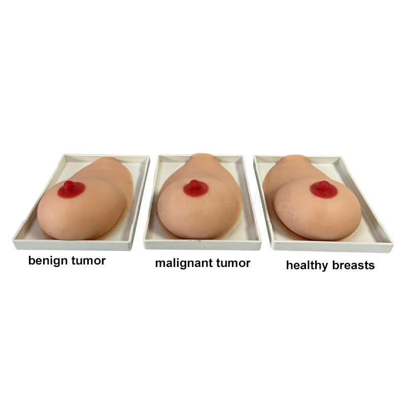 SY-NO7E дешевая модель обследования груди для медицинского образования