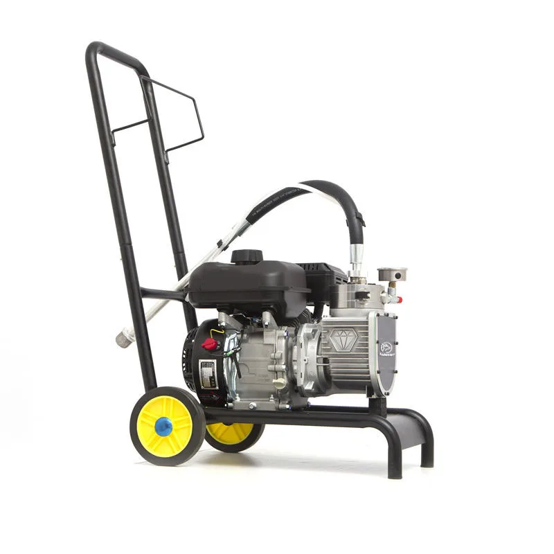 Efficient Electric Airless Paint Sprayer Diaphragm Pump for Pressure Feed for Paint Spray Application